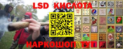 гидра Волгодонск