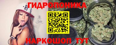 прущие грибы Волжск