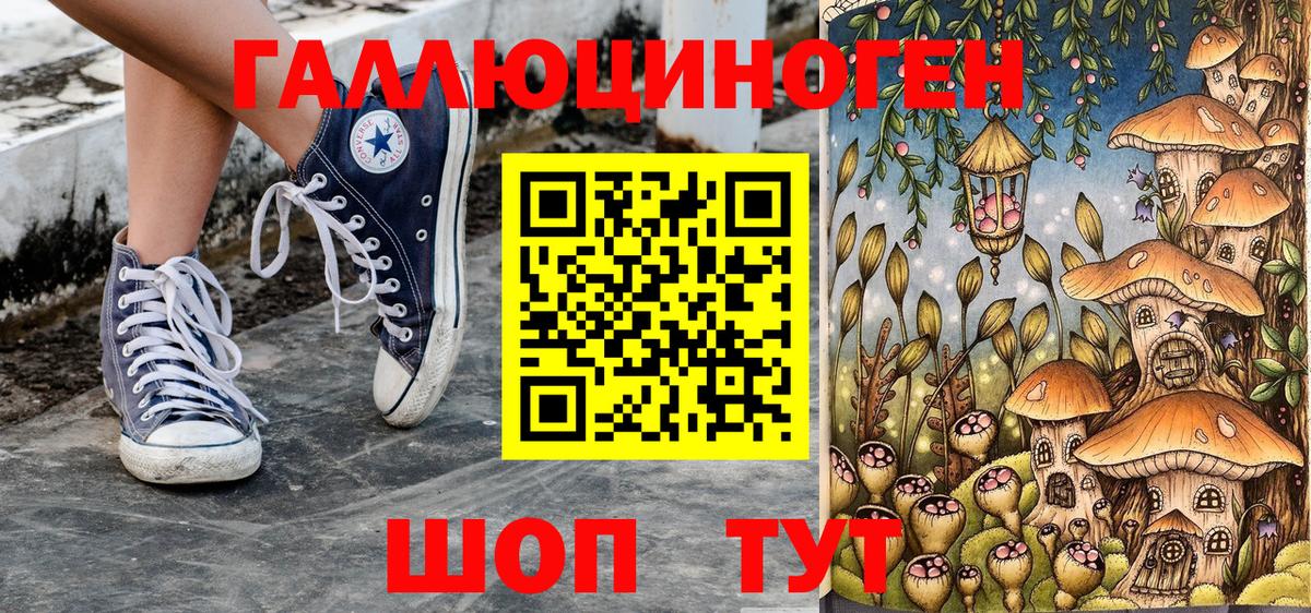 Владимир  Галлюциногенные грибы мицелий  Галлюциногенные грибы прущие грибы  Вход с VPN 