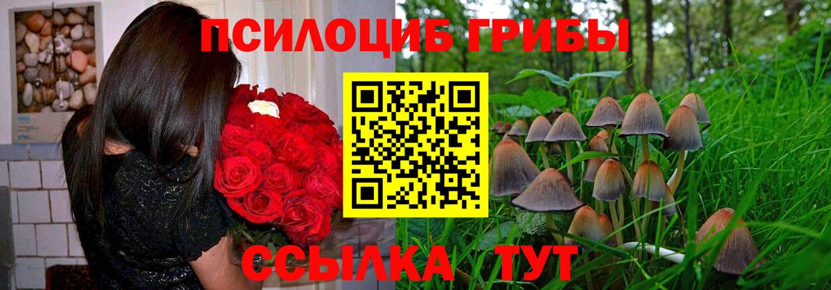 Альфа ПВП Владимир