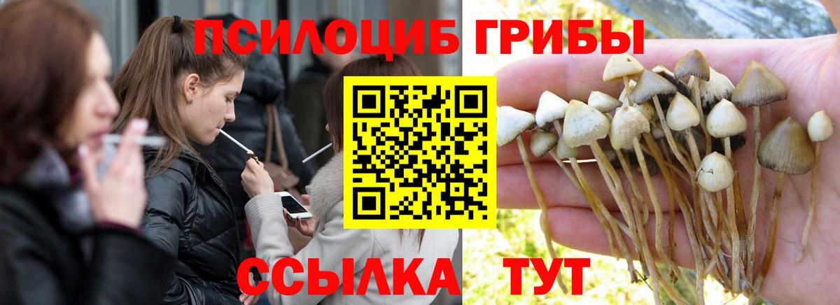 Владимир  Кодеин  Вход с VPN  МЕТ  LSD-25  Меф  Мефедрон кристаллы  Бошки Шишки  Кокаин  ГАШИШ 