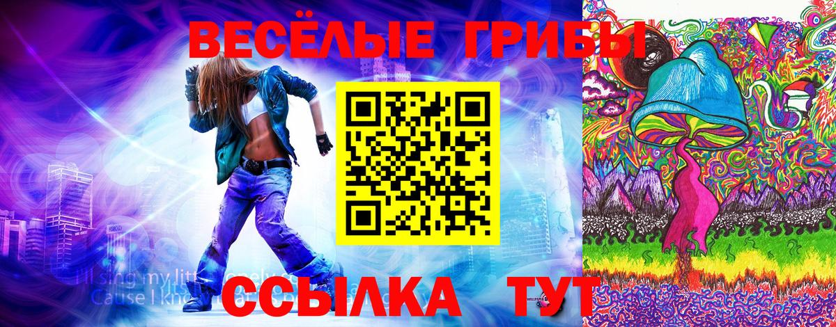 Псилоцибиновые грибы мухоморы Владимир
