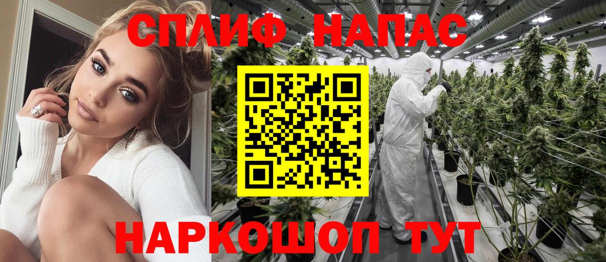 Бошки Шишки THC 21% Владимир